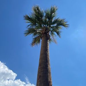 Meet your Posher, Carol